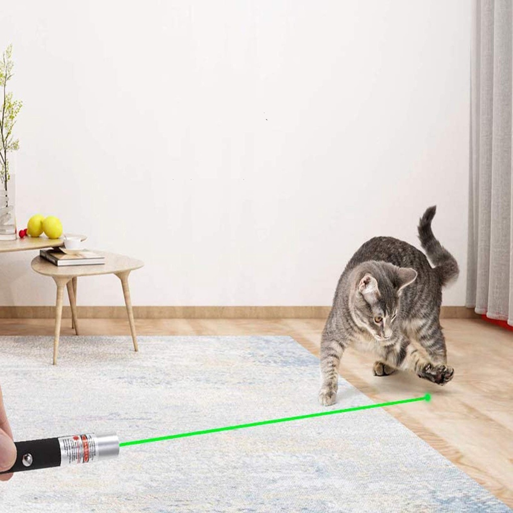Bút Chiếu Đèn Laser Đồ Chơi 5MW 27Pets Dành Cho Mèo