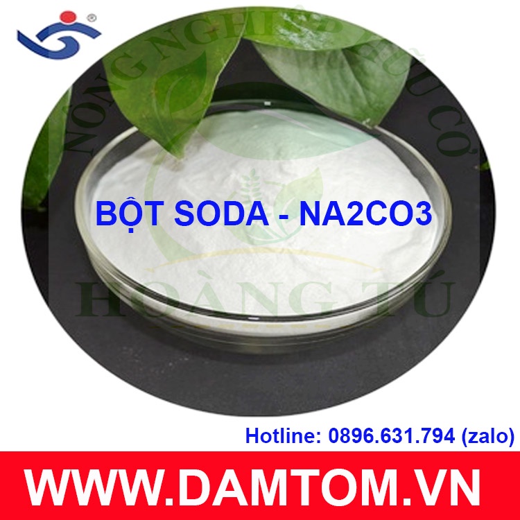 Bột soda Na2CO3 gói 1kg