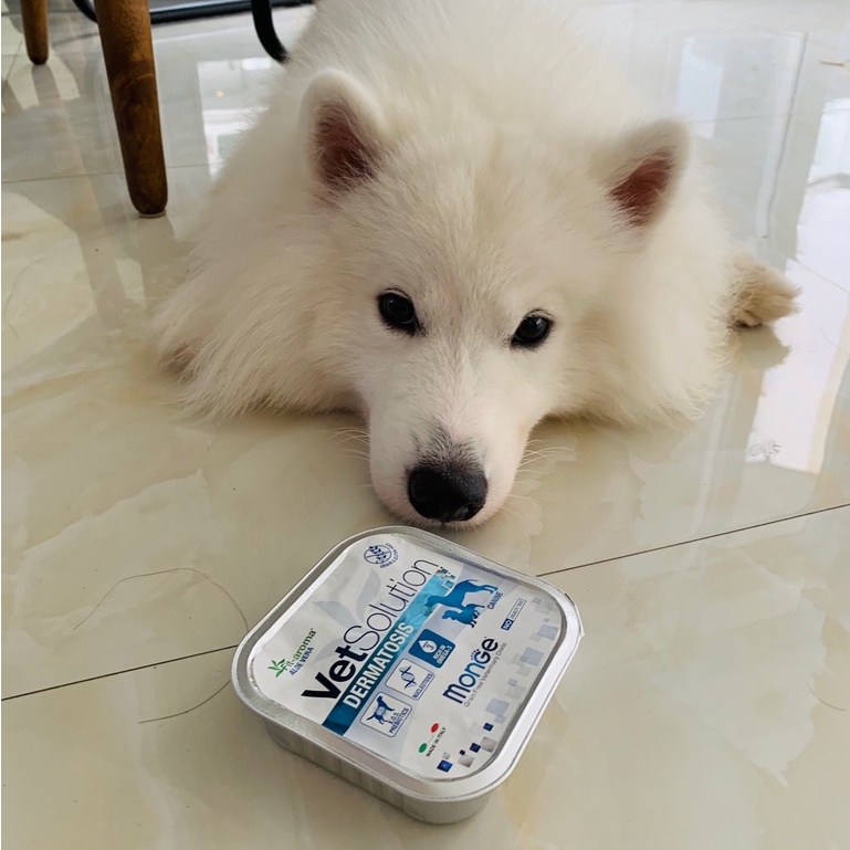 Pate Cho Chó Monge Vet Solution Chăm Sóc Sức Khỏe 150g