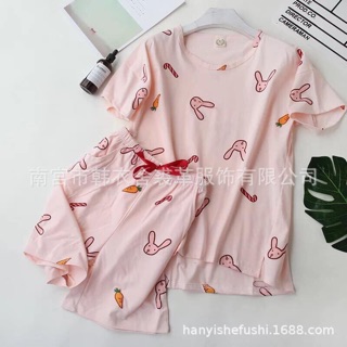 Combo 3b hoạ tiết nhiều màu