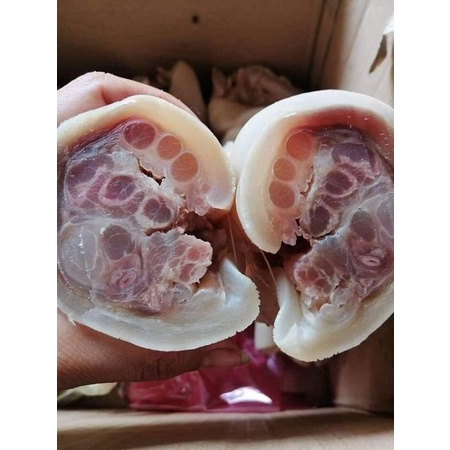 Móng lợn rút xương túi ~1kg