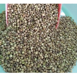 100g láng tròn cho hámter, chim, vẹt,...