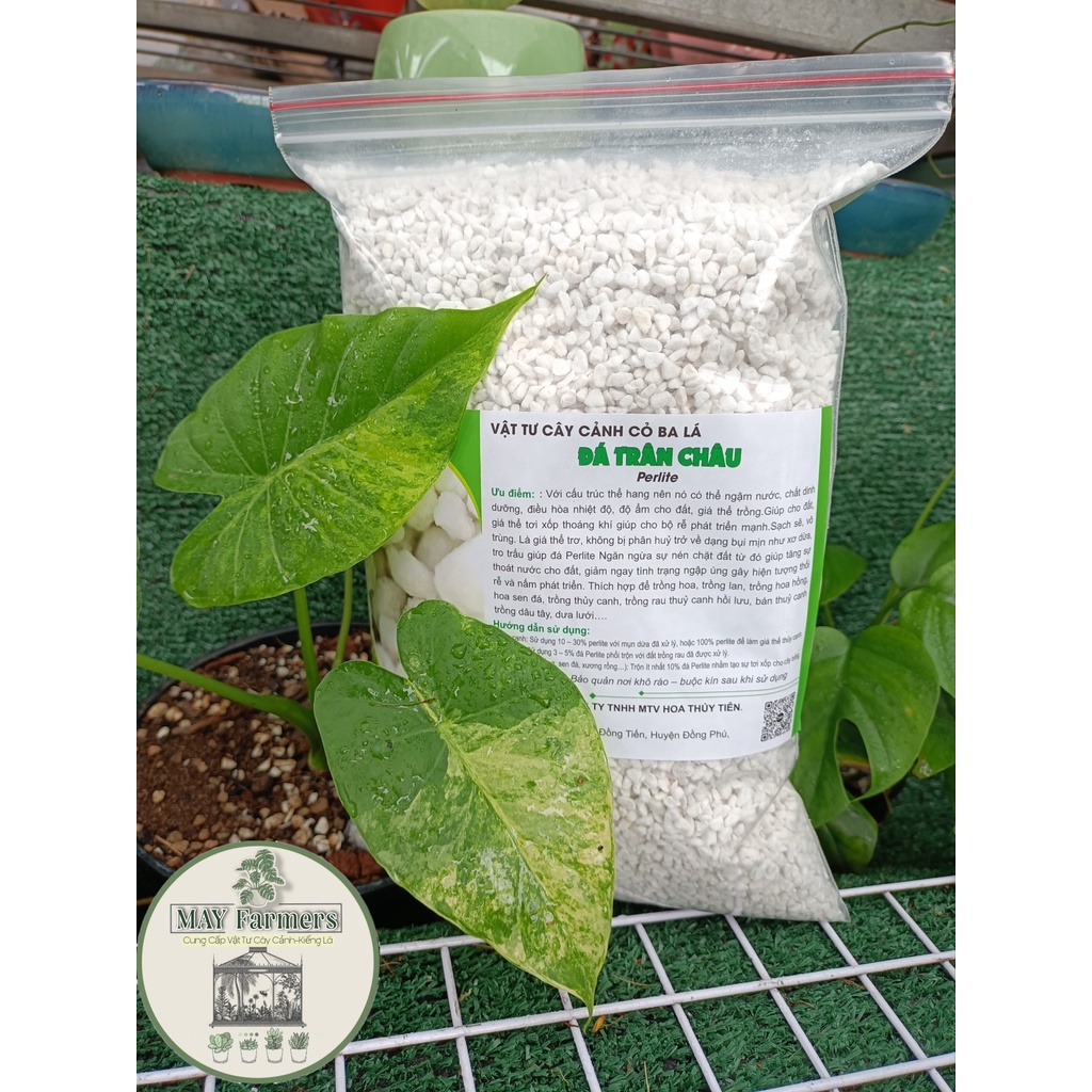 Đá PERLITE - Đá TRÂN CHÂU  Làm Giá Thể Cho Kiểng Lá - Hoa Lan - Sen Đá...