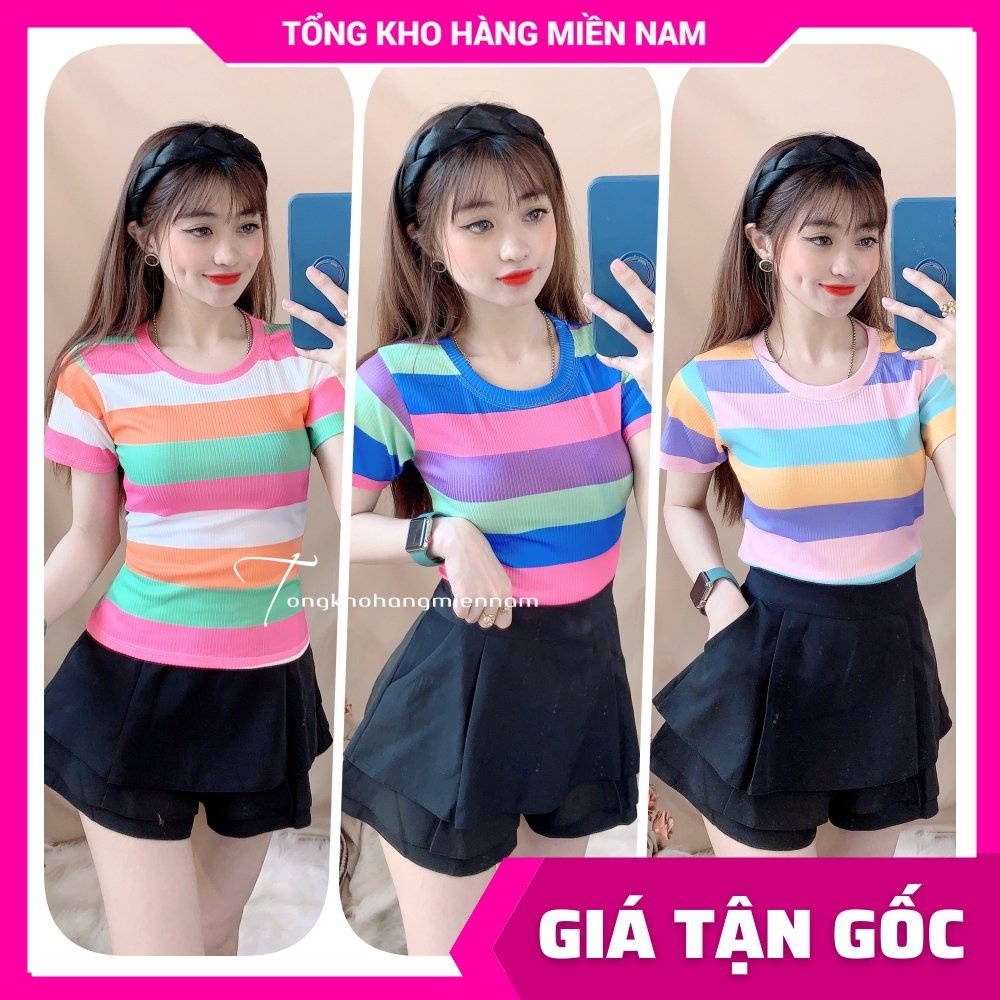 Áo kiểu nữ chất thun gân mềm mịn co giãn thoải mái sọc phối màu dễ thương lên phom siêu ôm dáng Áo thun nữ AK1258