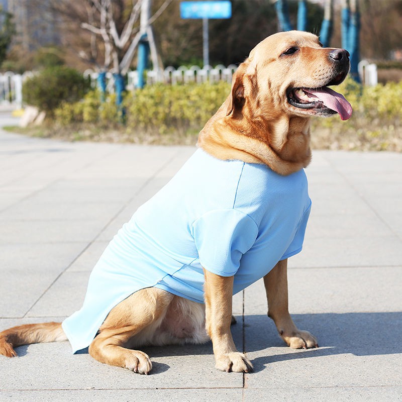 Quần áo cho chó lớn mùa hè Labrador Golden Retriever Alaska Shiba Inu Trung bình Vest