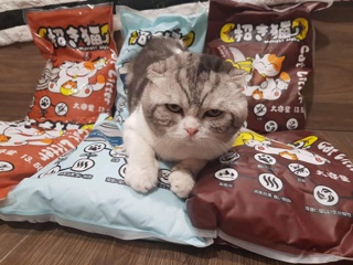 Combo 2 bao cát vệ sinh cho mèo Maneki Neko (bao 5L)