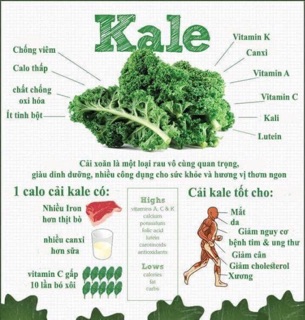 BỘT CẢI XOĂN KALE Date T3/2021