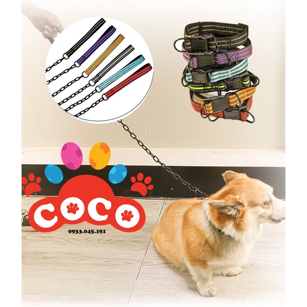 Dây xích Inox kèm vòng cổ cho chó