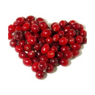 Hạt giống VIỆT QUẤT ĐỎ F1