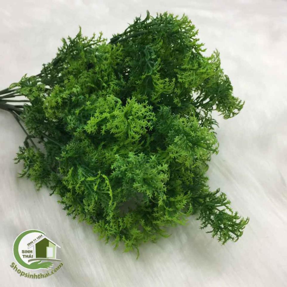Cây rong rêu giả màu xanh