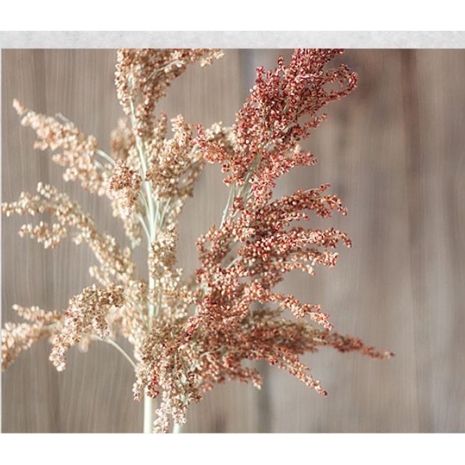 Bông Cao Lương Khô Cành To Phong Cách Cổ Điển