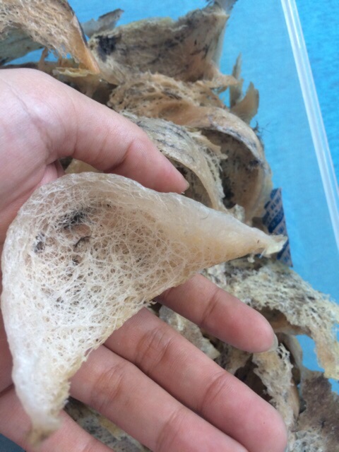 Yến sào nguyên tổ thô 10, 20gr+🎁 SHOPEE TRỢ GIÁ | BigBuy360 - bigbuy360.vn