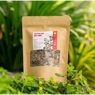 Trà cà gai leo gói lớn 70gram