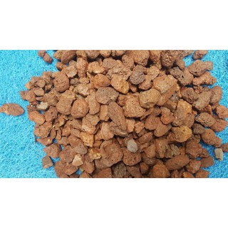 nham thạch đỏ 2-3cm đá núi lửa 10kg