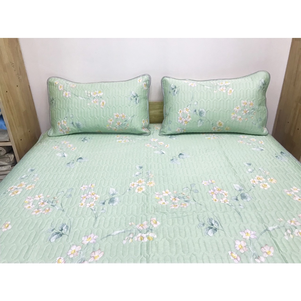 Chiếu Cao Su Non Mặt Vải Modal Gỗ Sồi Nekio Nhật Bản