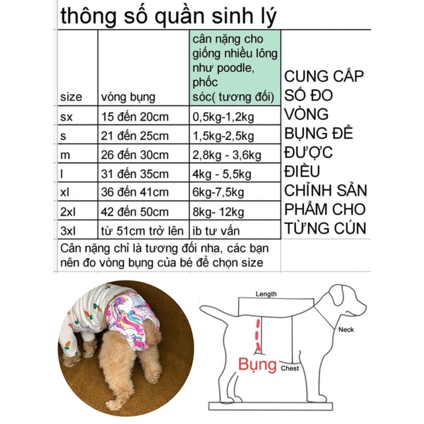 Quần sinh lý giành cho cún cái đến kỳ rụng dâu