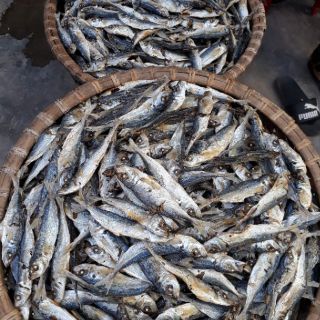 Cá Mu khô cửa lò