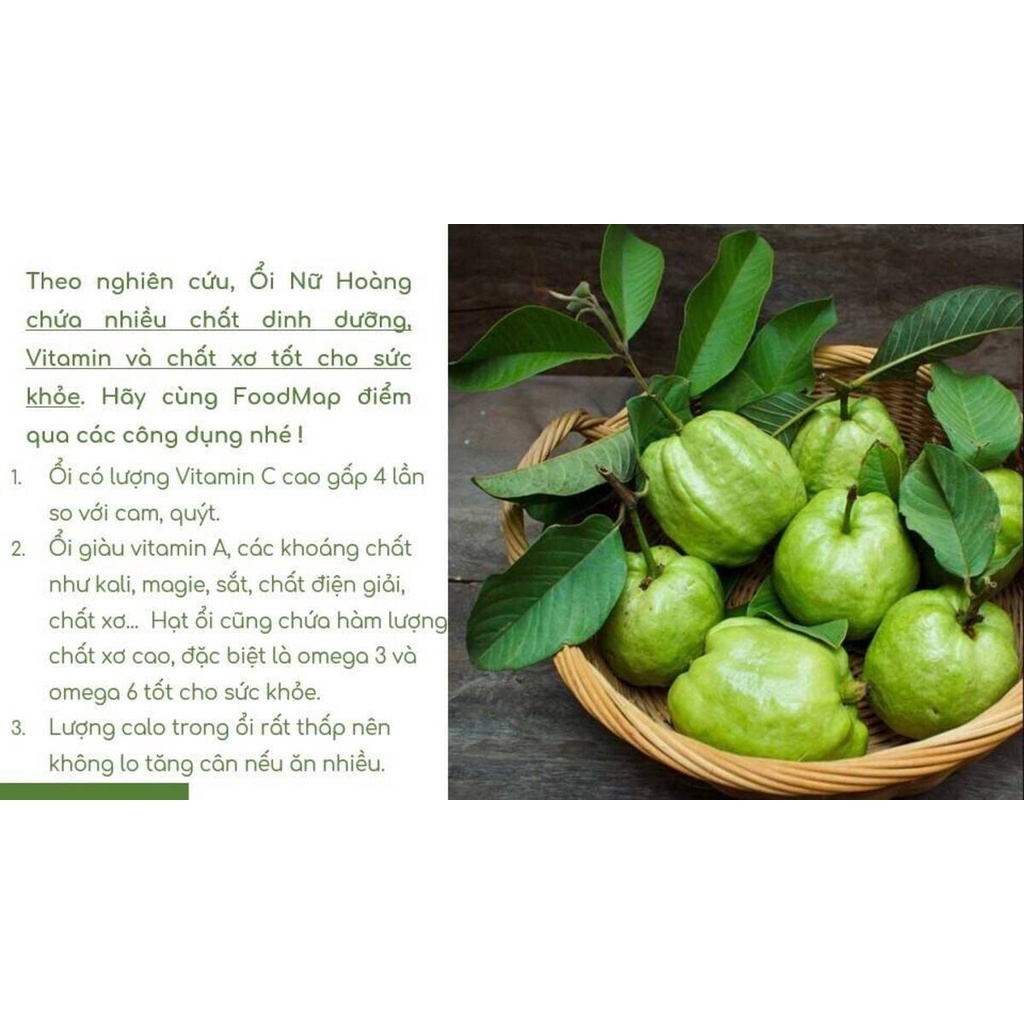 Ổi Nữ Hoàng Giòn Ngọt, Giàu VitaminC - 1Kg - FoodMap Fruits [TẶNG GÓI MUỐI ỚT HANABERO 7Gr]