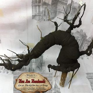 Gốc bonsai thác đổ