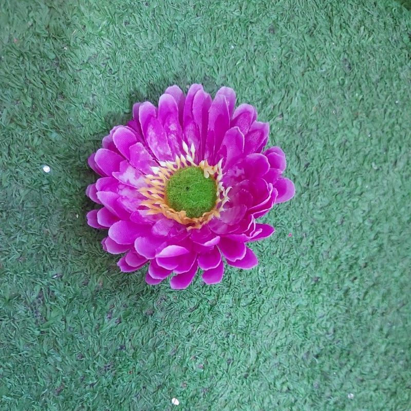 ĐẦU BÔNG CÚC CHÉN .DÙNG CẮM BÌNH .CẮM GIỎ .CẮM KỆ.CẮM CỔNG CƯỚI