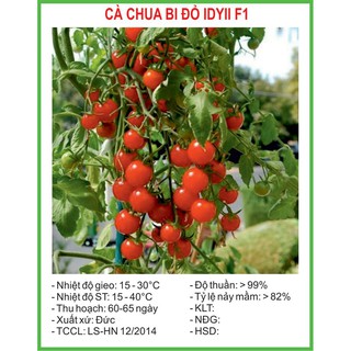 Hạt Giống Cà chua bi cao quả đỏ 30 Hạt/ Gói