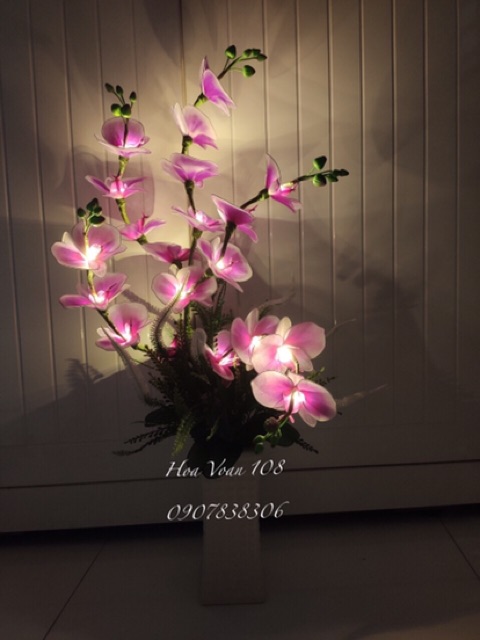 Đèn 5 nhánh -màu vàng không chớp -20 bóng.