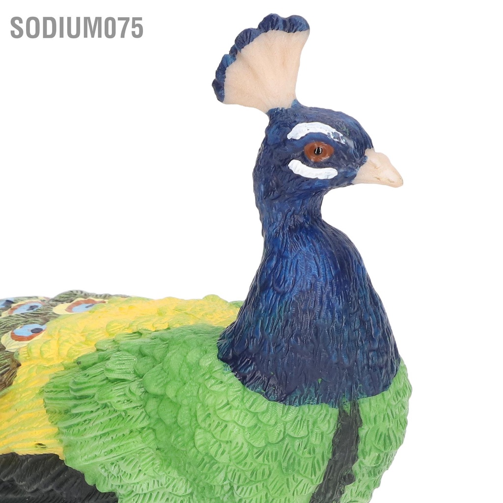 Có thể bán buôn Con công đẹp Trang trí nhà sống động Mô hình vật Tượng con nhân tạo để làm quà tặng Sodium075 Hàng giao ngay