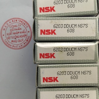 Vòng bi bạc đạn nsk 6203 dducm