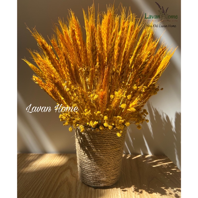 Bình hoa lúa mạch vàng để bàn làm việc, trang trí nhà, quà tặng khai trương, hoa chúc tết, bình hoa khô phong thủy