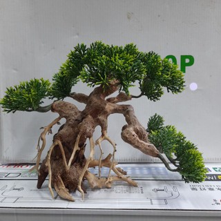 Lũa bonsai trang trí bể cá cỡ lớn-20×28cm