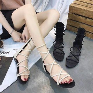 San đan chiến binh đế bệt