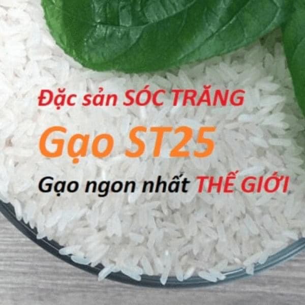 GẠO ST25 BAO 10KG