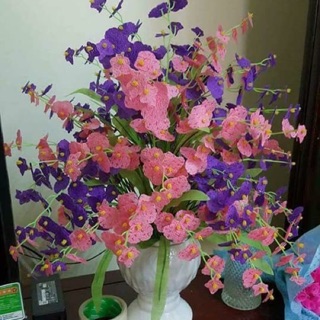 Nguyên liệu lan vũ nữ cành