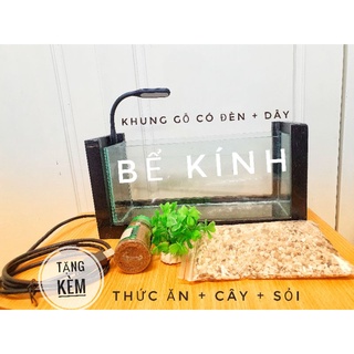 Bể kính nuôi cá tặng kèm sỏi nền, cây trang trí