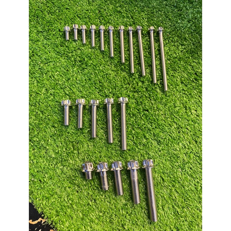 Ốc salaya các size thông dụng