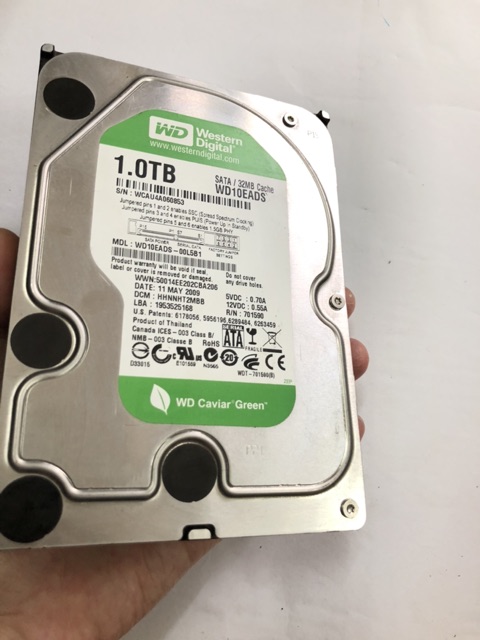 Ổ cứng WD 1TB sức khoẻ 100%