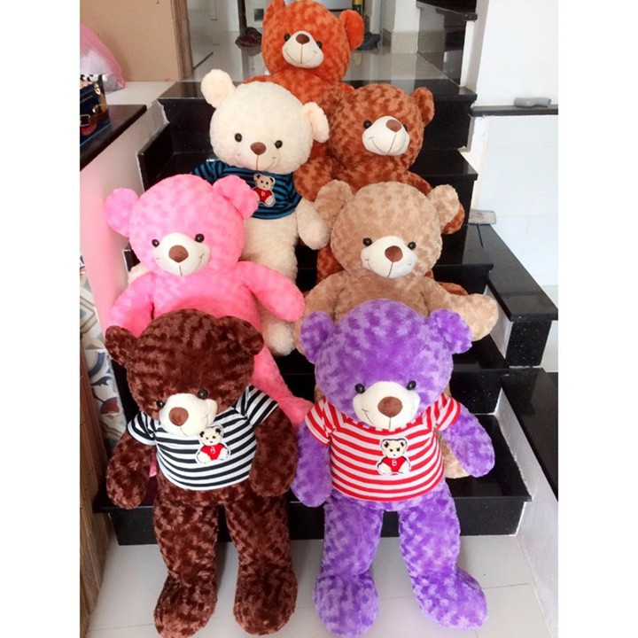 Gấu bông Teddy khổ vải 80cm siêu mềm mịn cao 60cm