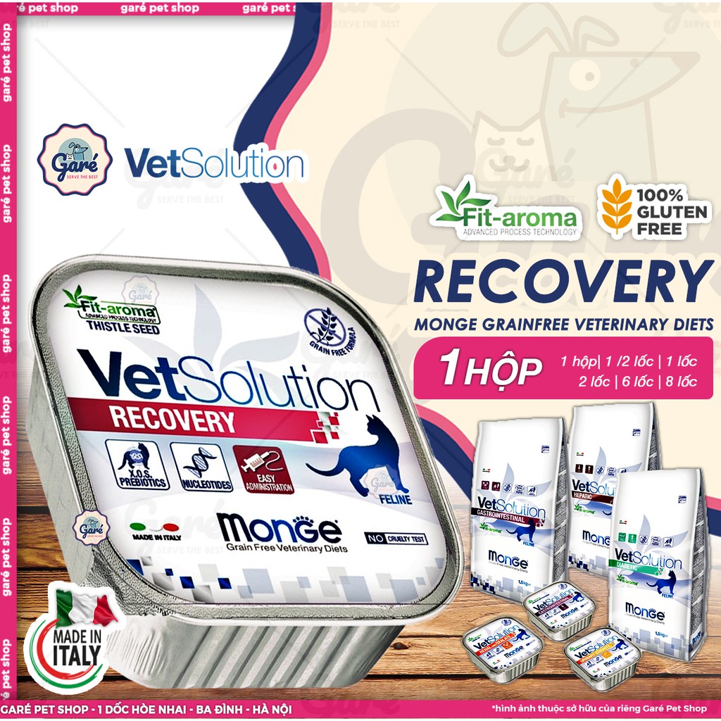100g - Pate Recovery phục hồi sức hàng nhập Ý cho Mèo - Monge Vet Solution Recovery