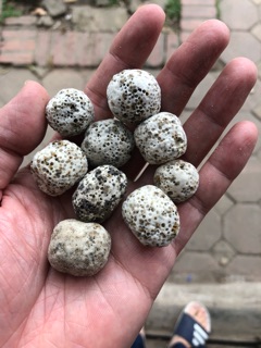 Sứ lọc be ca 100g Thủy Cung