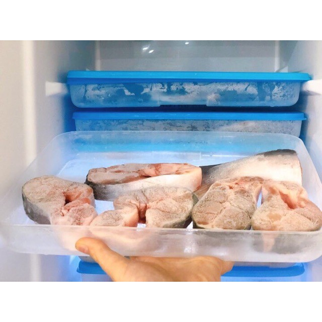 Hộp trữ đông dẹp, thấp Freezermate 1.2L Tupperware chính hãng, bảo quản thực phẩm ngăn đông