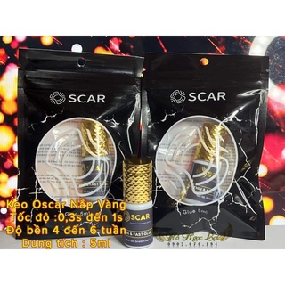 Keo nối mi oscar nắp vàng