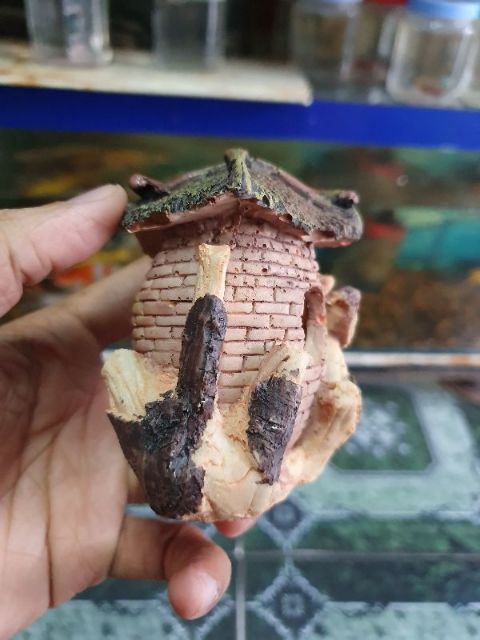 CẢNH NHÀ TRANG TRÍ HỒ CÁ NON BỘ CAO 8CM