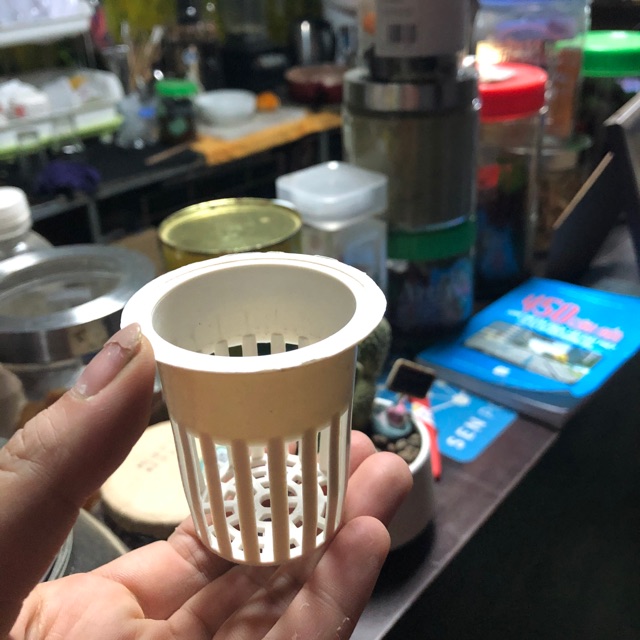 Rọ trồng thuỷ canh combo 2 cái
