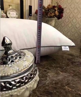 Gối hitton 1,5kg