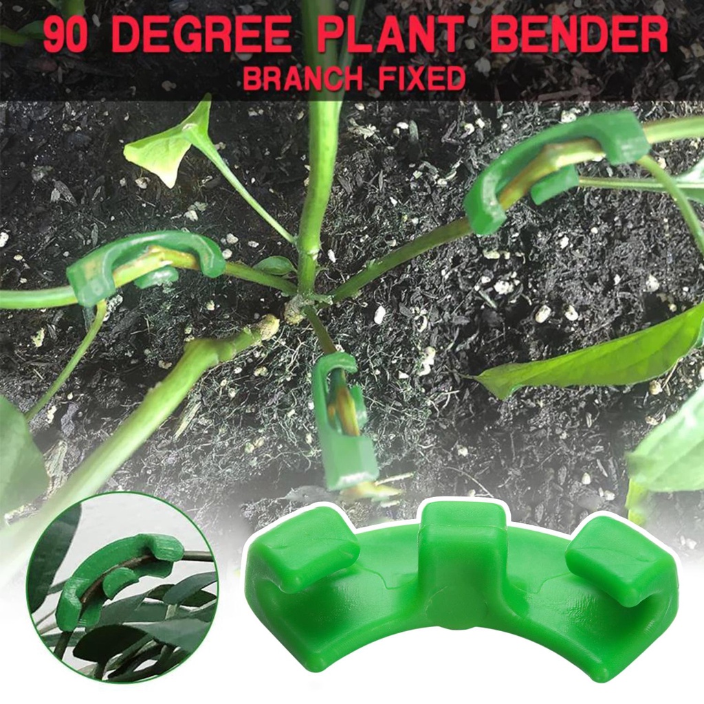 PISTA Set 10 Cành Cây Uốn Cong 90 Độ Không Chứa Chất Nhờn Giúp Giảm Căng Thẳng