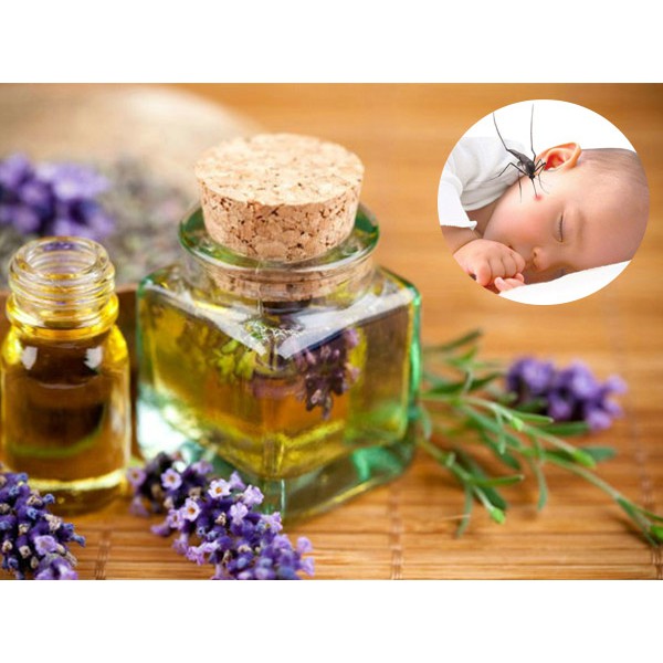 Tinh dầu tràm nguyên chất essential oil lọ 10ml - PKCB