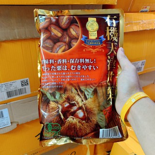 HẠT DẺ NHẬT BẢN HIỆU GEISEDA