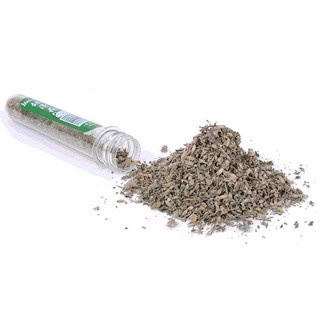 Cỏ bạc hà cho mèo phê pha xả stress ( Cỏ mèo Catnip)