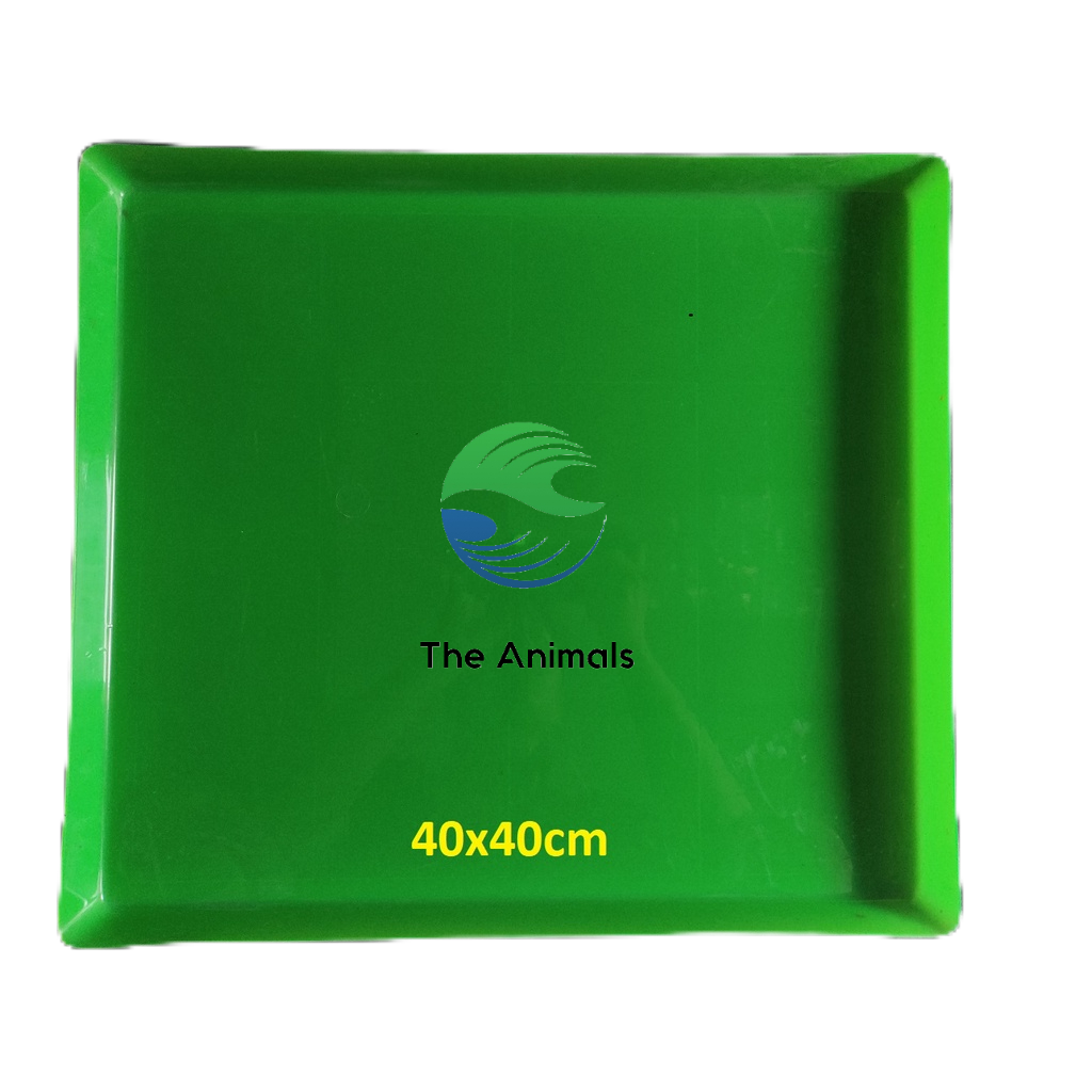 Khay Hứng Phân Cho Lồng Chim, Lồng Gà ( 40x40cm)