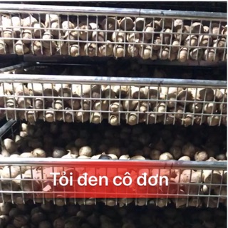 1kg TỎI ĐEN CÔ ĐƠN HÀNG LOẠI 1 LÊN MEN 45 ngày ngọt dẻo